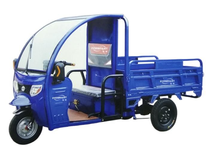 Drive Smoothly 3-Wheel Electric Trike for Safe and Comfortable Experience