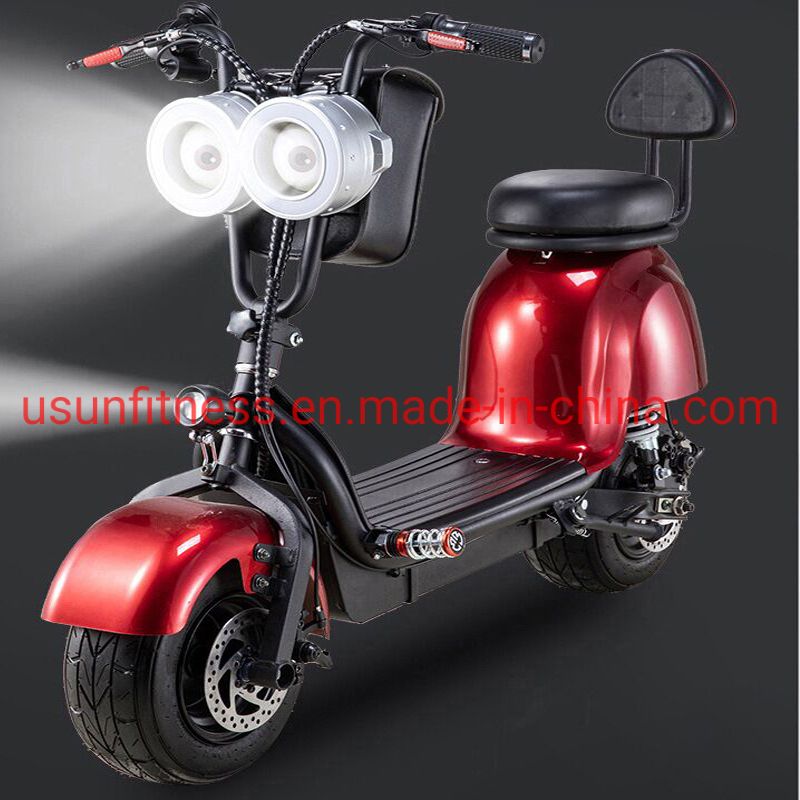 Wholesale Fat Tyre Mountain Electric Bike with Disc Brake