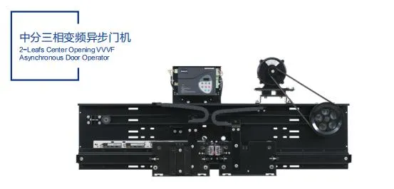 Modern FUJI New Design Ultrathin Rock Plate 400kg Villa Lift CE/En81/Eac/ISO