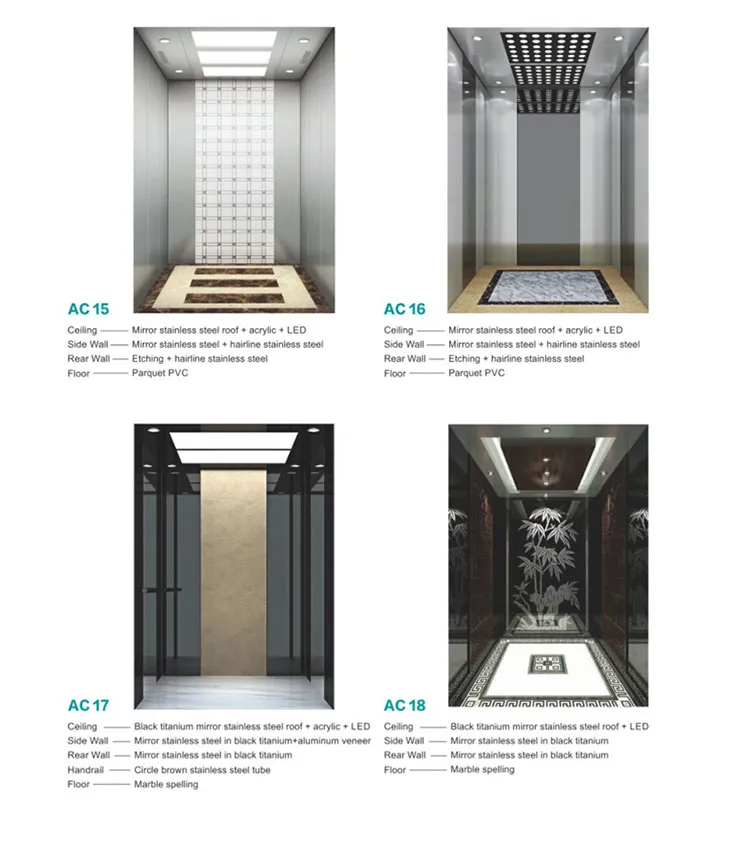 Home Lift Elevator Capsule Lift Villa Lift Elevator with Factory Price