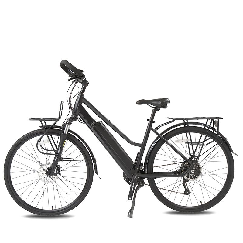Electric Bike with Aluminum Alloy Frame with Six Tube Controller