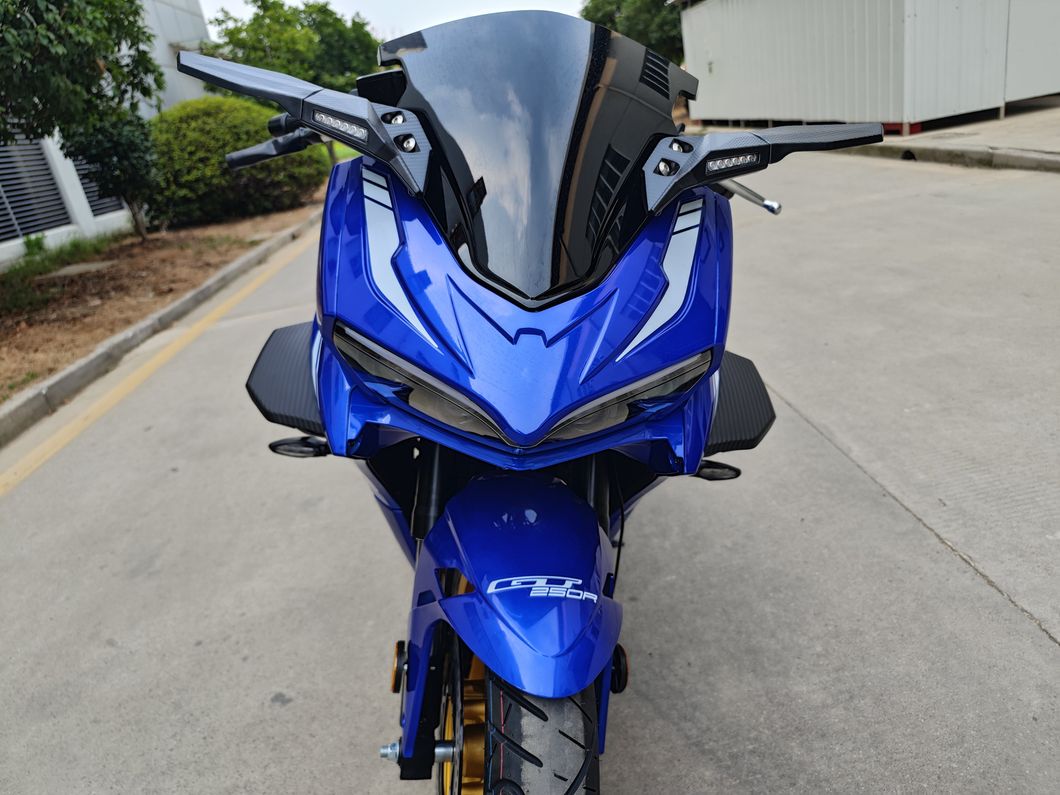 Fashion Design High Quality Gasoline Motorcycle Rzm250h-15 with 200cc 250cc 400cc