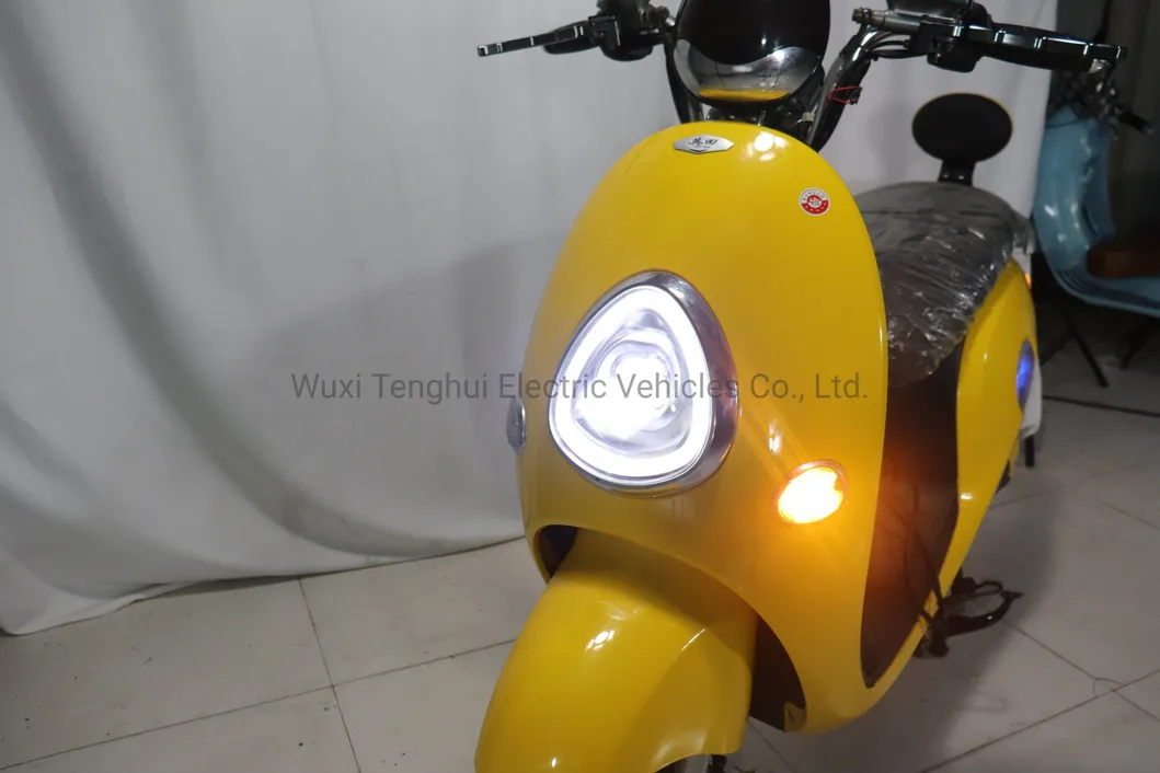 Chinese Electric Scooters Electric Pedal Scooters 1000W Moped Scooter