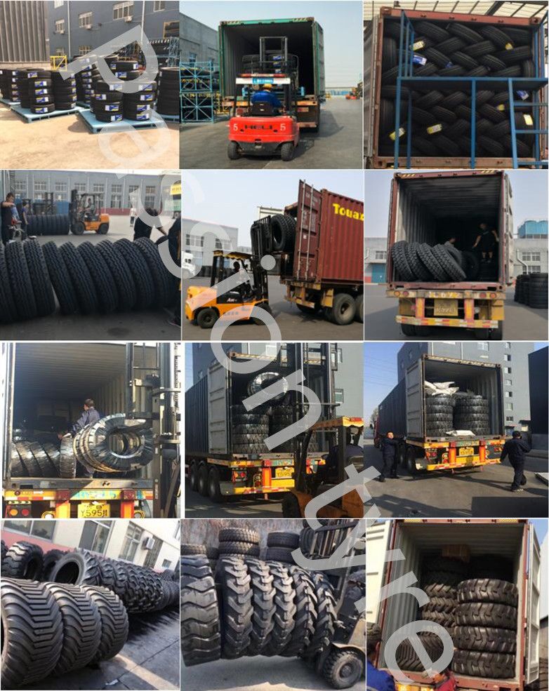 Radial OTR Tire 12.00r24 14.00r24 Tyre for Terminal Tractor / Container Handler