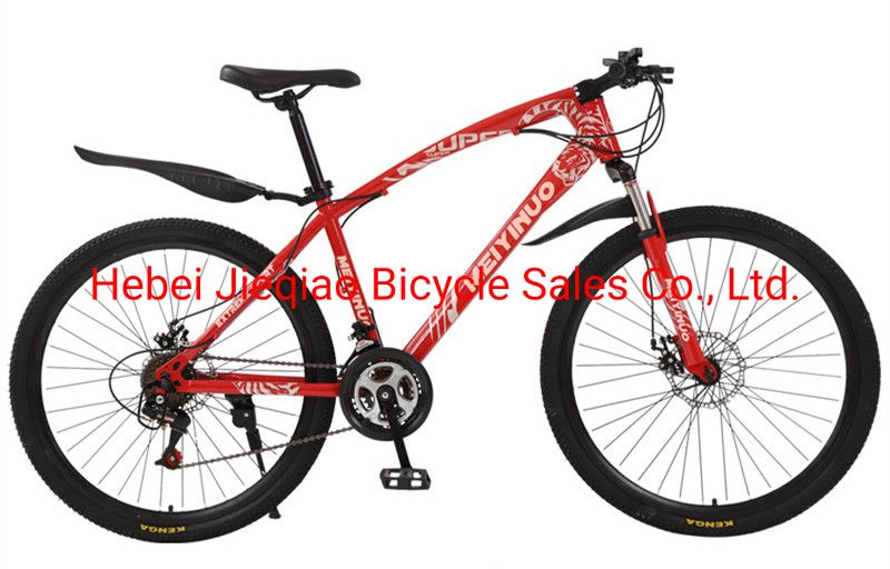 Bicycle 21 Speed Disc Brake Variable Speed Mountain Bike