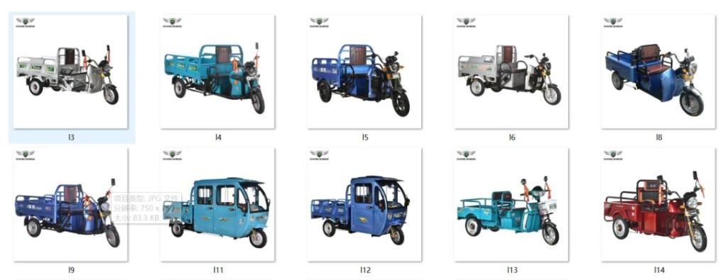 Qsd China Made Electric Sightseeing Bus 1 Seater Electric Garbage Collecting Car