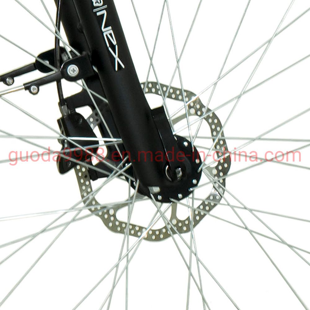 Quality Adult Step Through E Bike Factory Direct Electric Bicycle