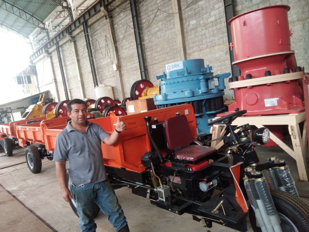 Tricycle for Heavy Cargo Diesel Oil 3 Wheel Motorcycle Fuel Tricycles