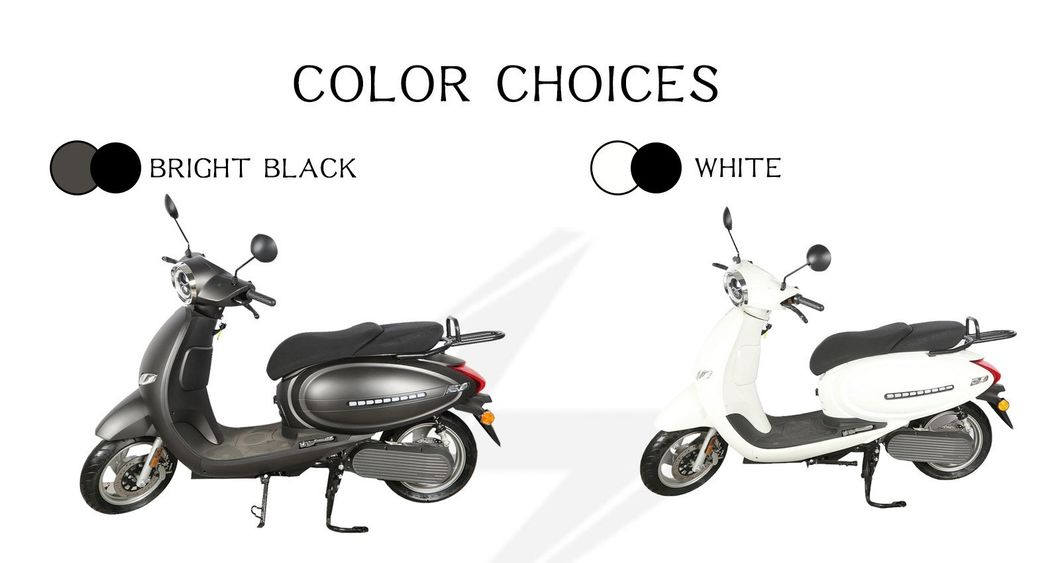 EEC L1e L3e Coc Portable Double Lithium Battery 2000W Electric Scooter