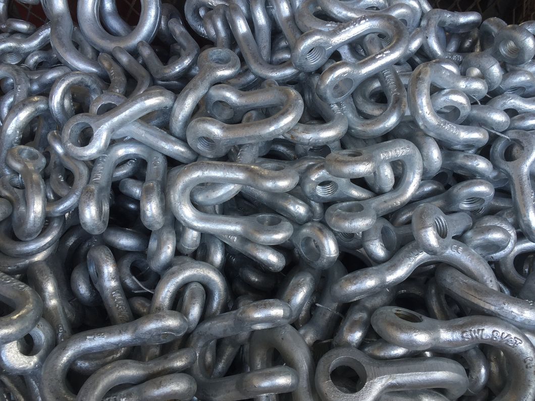 Drop Forged G209 Shackle with Hot Dipped