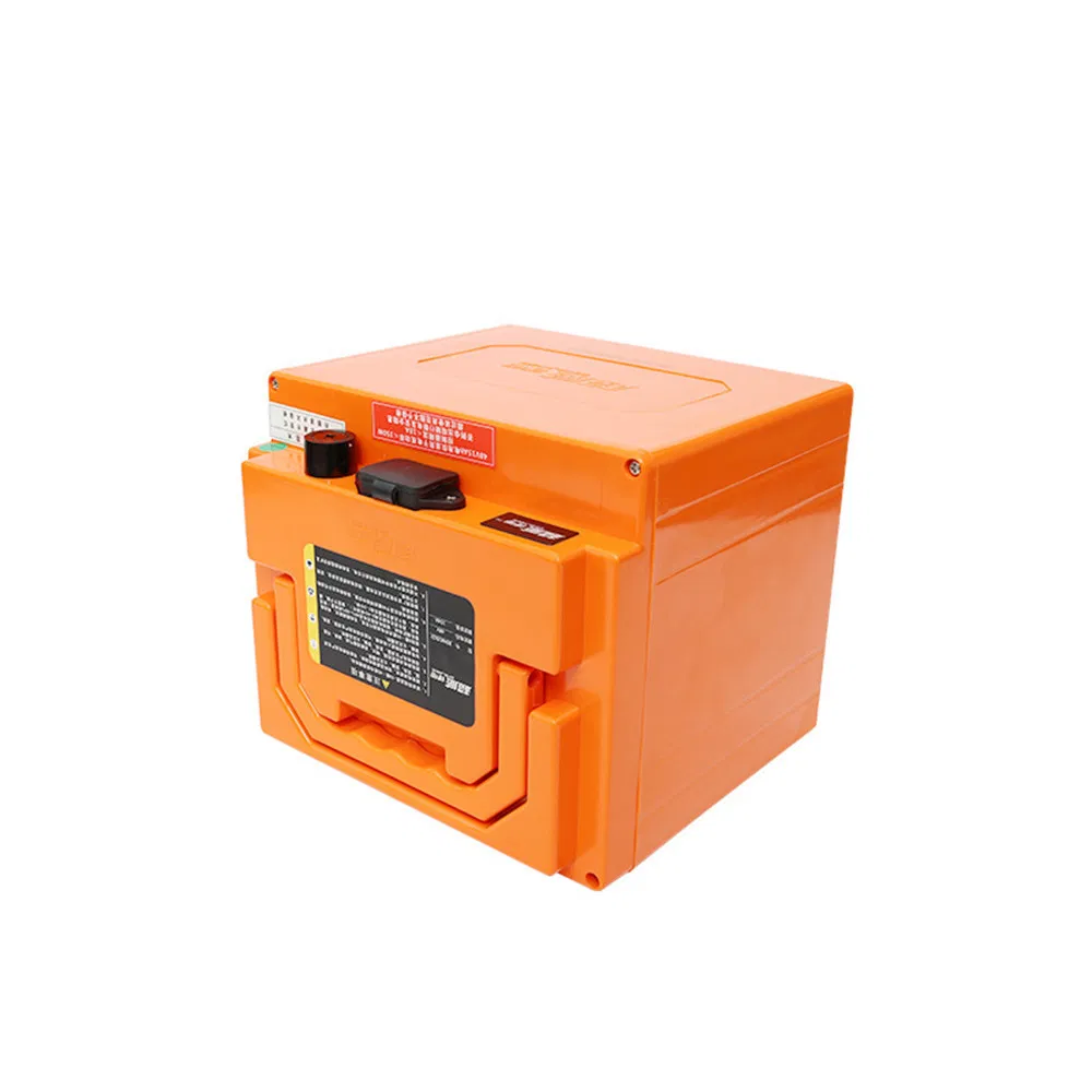 48V20ah Lithium Battery Battery Two-Wheel Electric Vehicle Batteries
