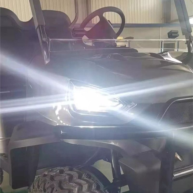 4 Wheel Buggy off Road 48V 4000W 150A Battery Golf Cart Electric with Cargo Box