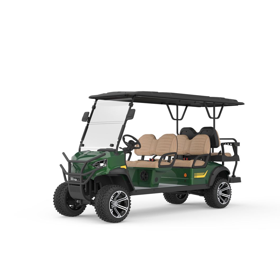 Safety Sightseeing Car with Comfortable 2 4 6 Seats