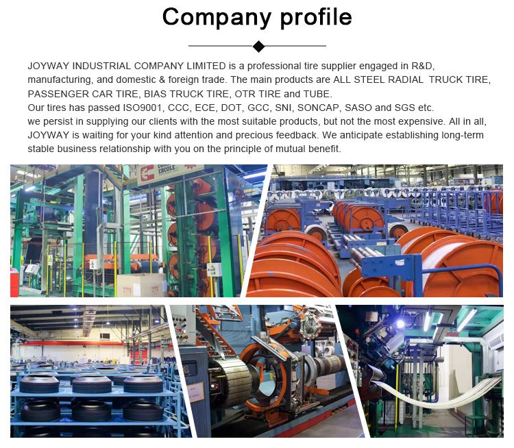China Factory Wholesale All Steel Radial Heavy Duty Dump Truck-TBR Tire Tyre 315/80r22.5 315/70r22.5 385/65r22.5 295/80r22.5