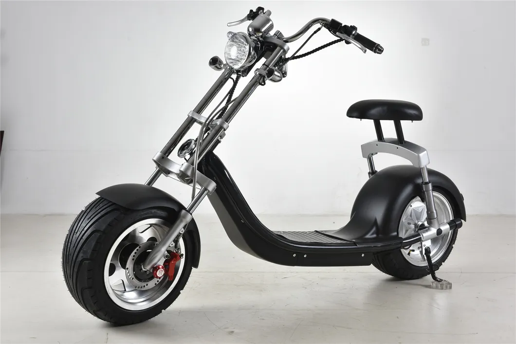 Environment Friendly Citycoco/Seev/Woqu Citycoco Electric Scooter Mobility Motorcycle