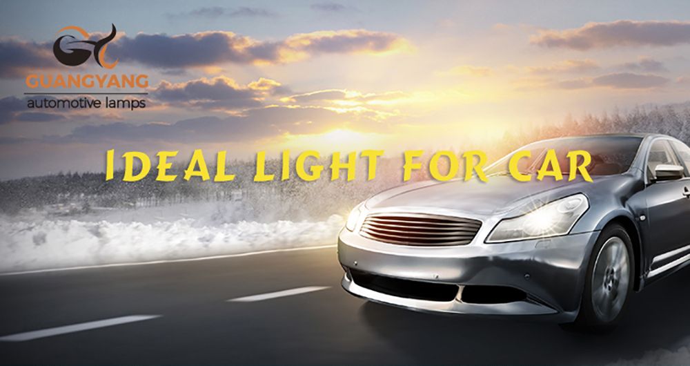 PS24W 12V 24W Halogen Fog Light Clear Color