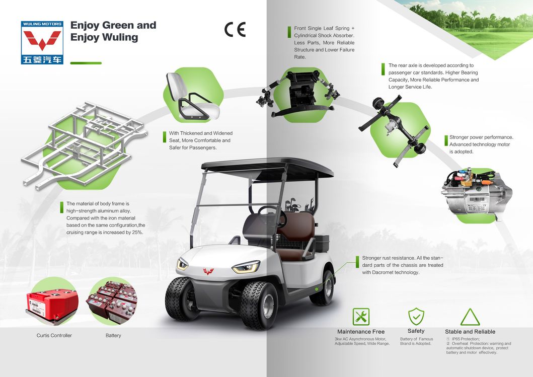 48V 3kw AC System High Performance Custom Electric Golf Cart