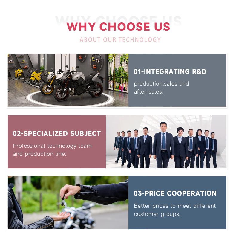 Adult 3000W 5000W Popular High Speed Racing Electric Motorcycles