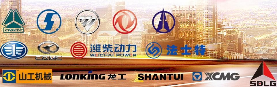 Fuel Filter for Sinotruk HOWO FAW Shacman Foton Dongfeng Commins Weichai, Yuchai XCMG Shantui Xgma Sany Engine Truck Spare Parts OEM Factory Original