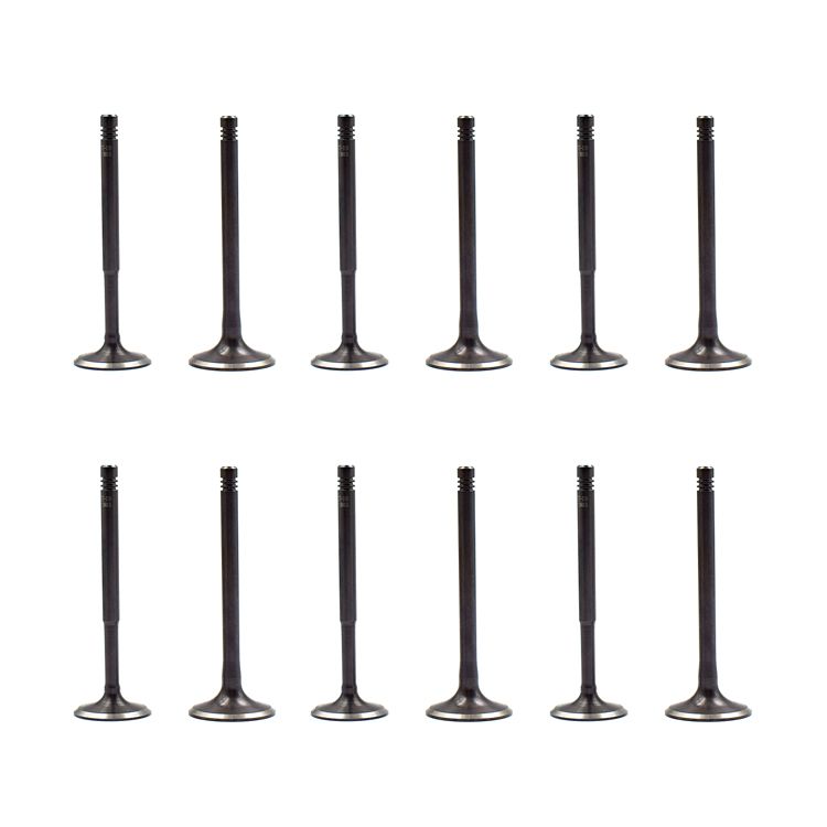 European Vehicle Engine Parts Top Quality Intake Engine Valve for Passat B51.8t