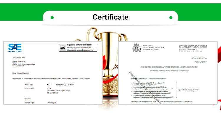 DOT EEC Automotives L7e/L6e 4/2 Seaters Electric New Cars with Speed 60km Ternary Lithium Battery Left Right Hand Driving Car