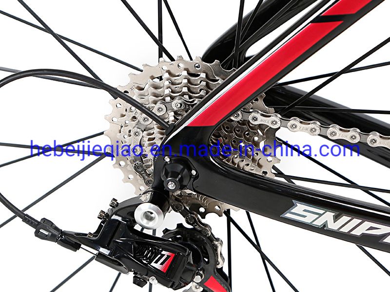 Carbon Fiber Frame 22 Speed C-Brake Road Bicycle