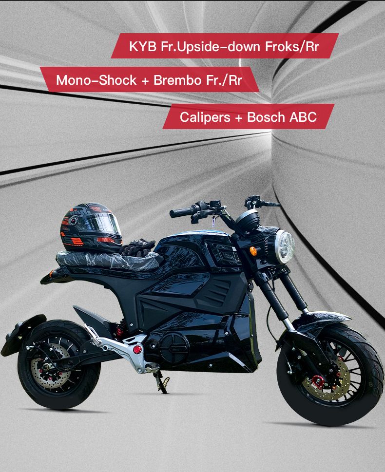 Popular Custom Made 3000W 5000W Adult Racing Electric Motorcycle