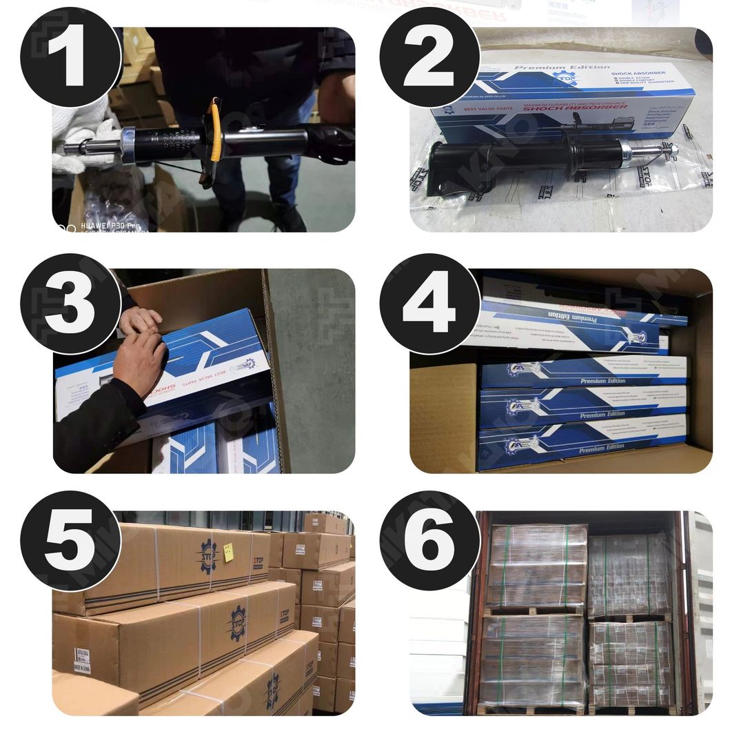 Absorber Shocks for Nissan Sunny/Sentra/Almera 98/10&thksim; 56210-4m425 in High Quality/ Best Price