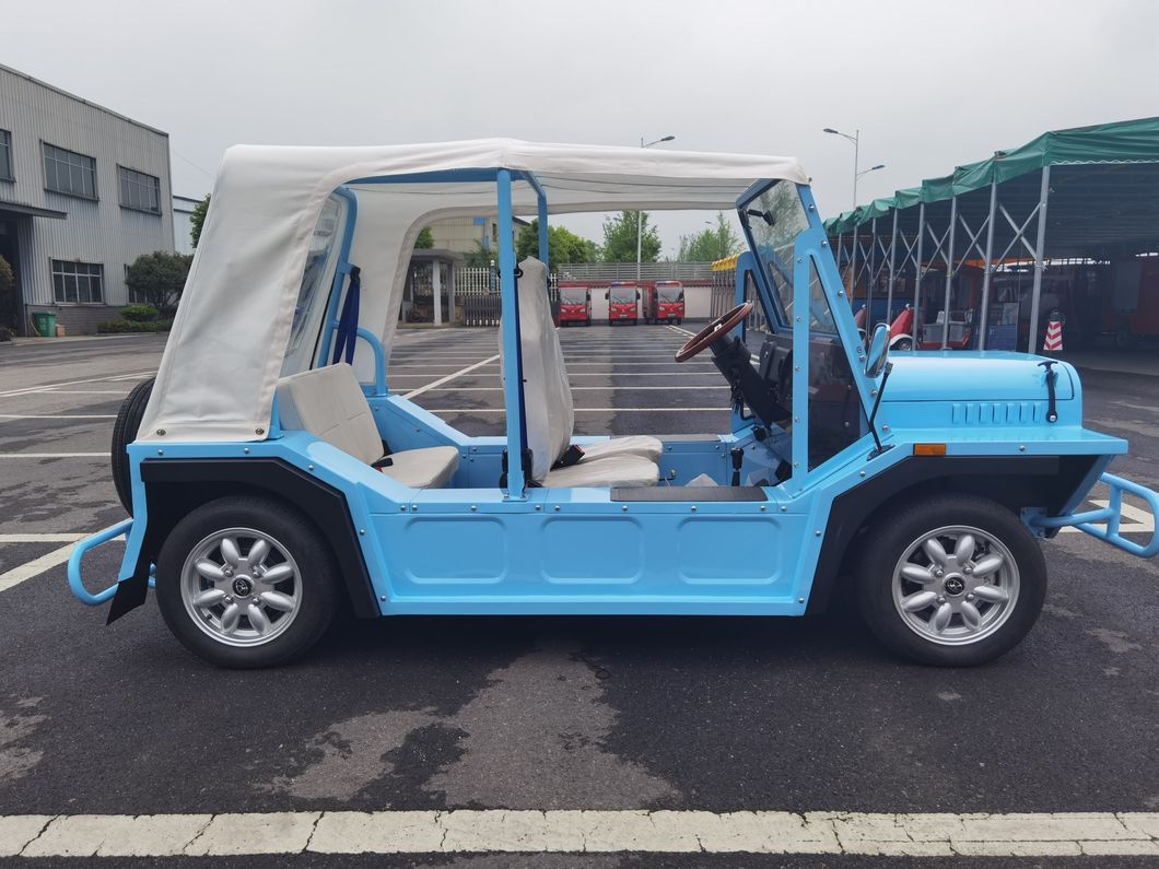 Electric Car Electric Vehicle Electric Tour Car Electric Sightseeing Car Electric Sightseeing Vehicle (96V)