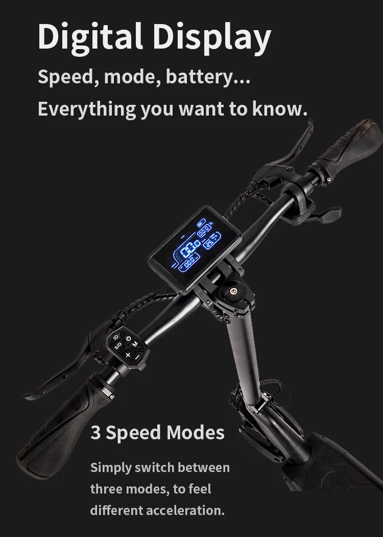 Best Quality Powerul 2000W off Road Electric Scooter with Certificates