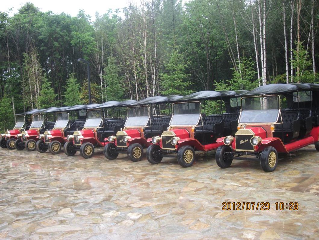Rariro Factory Price Electric Utility Vehicle Farm Car off-Road ATV with CE