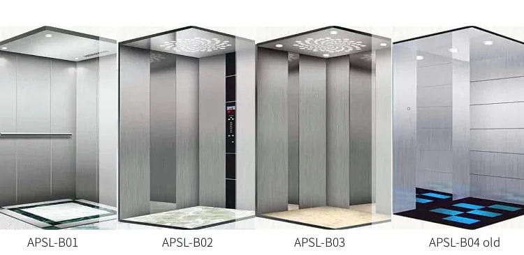 Machine Roomless Villa Passenger Elevator 250/320/400/450/630kg~800/1000/1250/1600kg