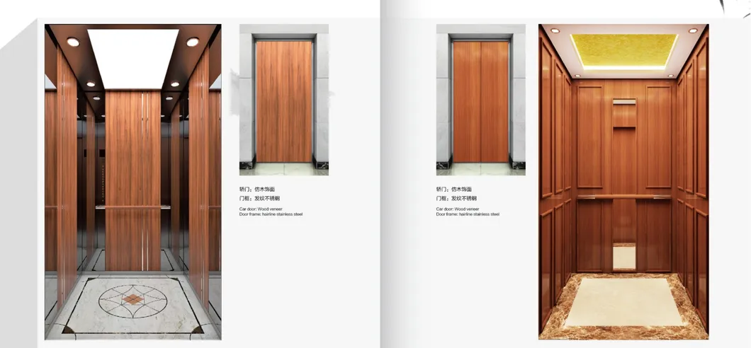 Home Lift Elevator Capsule Lift Villa Lift Elevator with Factory Price
