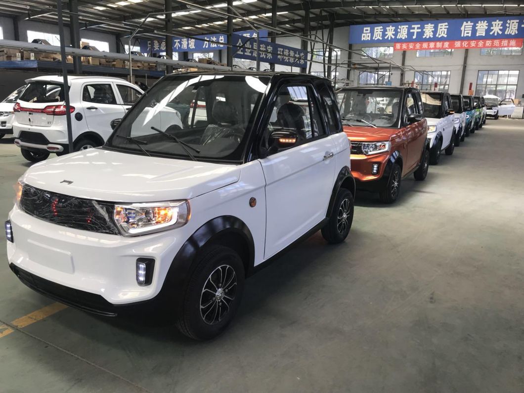 2021 Hot Sell Electric Car Made in China with The Cheapest Price and EEC Certificate Brand New One