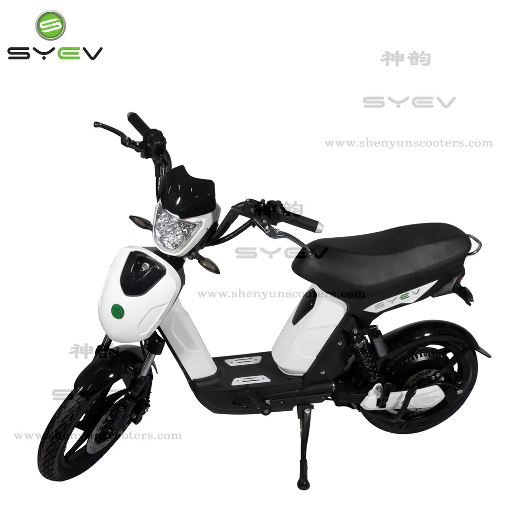 Syev Electric Scooter with 800W Motor 48V Portable Battery Two Wheel