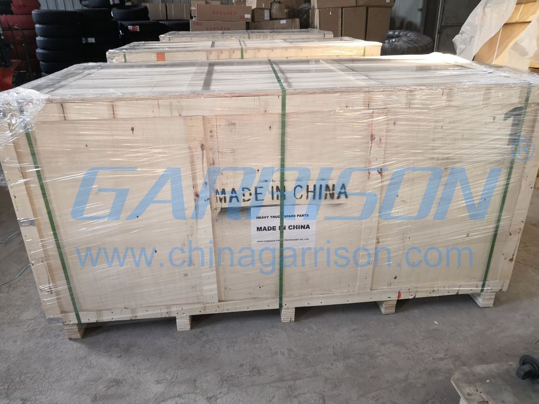 Air Filter Wg9725190102&3 All Kinds of Truck Spare Parts for Weichai Diesel Engine, FAW&amp; Sinotruk&amp; Shacman &amp; Beiben Truck