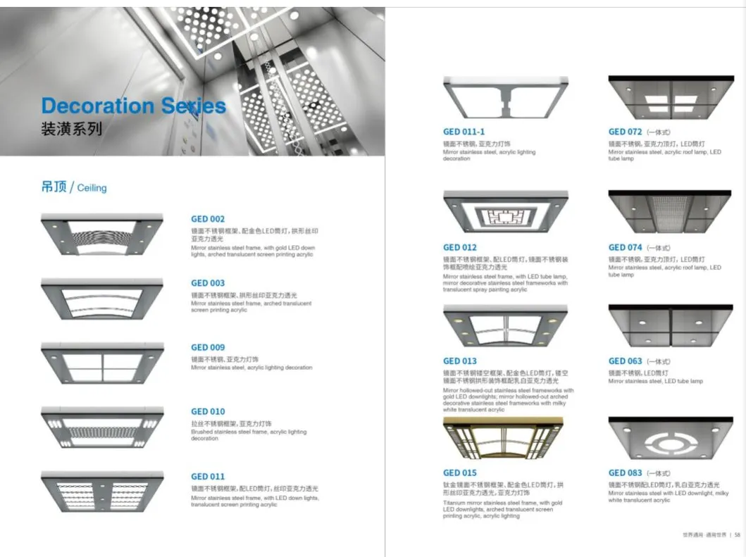250kg Elderly Villa Elevator Indoor Elevators for Wheelchairs