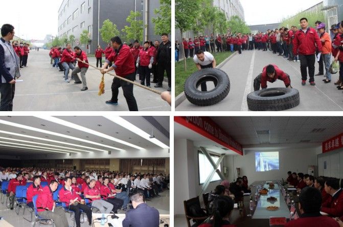 Advanced Technology All Steel Radial Truck Tire with Most Competitive Price 315/80r22.5