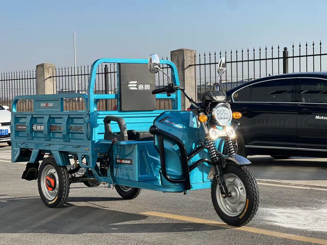 1m Cargo Box with EEC Certificate Hot-Sale in Europe, Asia and America for Light Cargo Tricycle Three-Wheel Electric Motorcycle Cargo Tricycle Trike