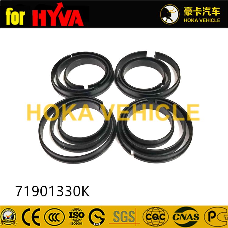Truck Spare Parts Seal Kit 71901330K for Dump Truck Hyva Hoist System