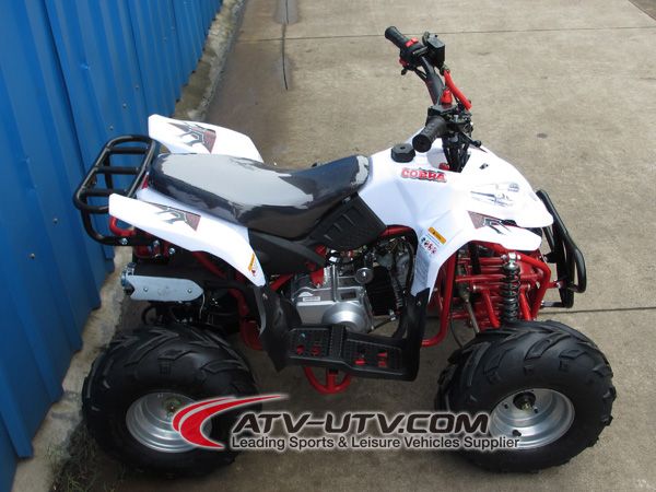 Cheap Price OEM 50cc 110cc Quad Bikes ATV for Sale