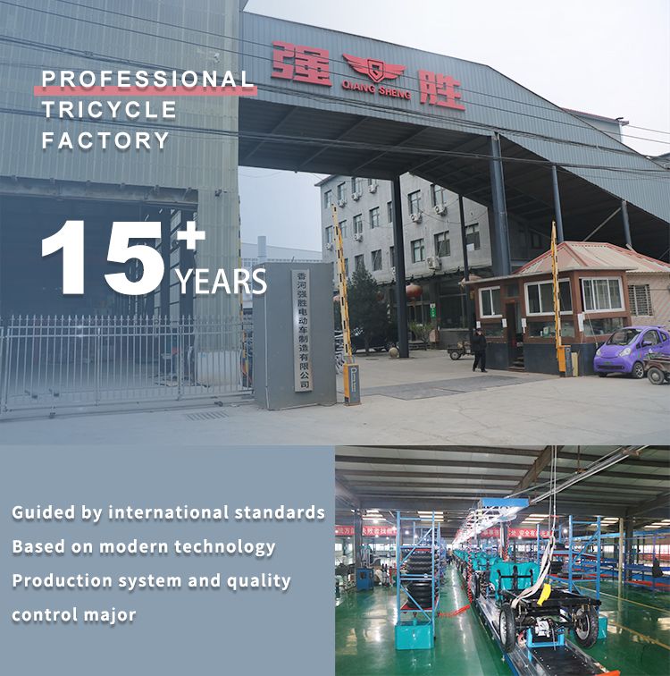 Battery Electric Cargo Van Price Adult Electric Loader or Goods Carriers