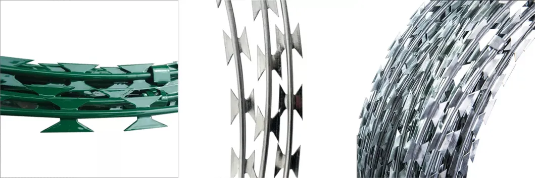 Galvanized PVC Coated Stainless Steel Fencing Bto-22 Cbt-60 Cbt-65 Wire Mesh Fence Concertina Razor Barbed Wire Fence