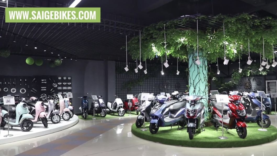 Saige Racing Electric Motorcycle with Powerful Motor, Lithium Battery with 100km+ Range