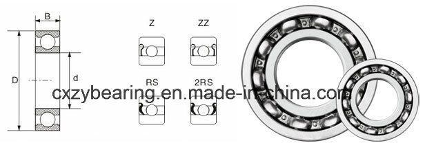 62/22 Alternator Generator Auto Bearing