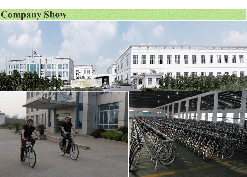 2017 New Popular Style Bafang MID Drive E-Bike Lithium Battery 250W Bafang Electric Mountain Bike
