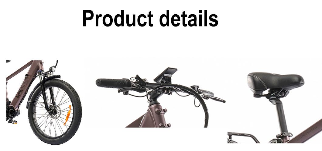 Wholesale Fat Tyre Bike China Factory Cheap Adult MTB Mountain Bicycle