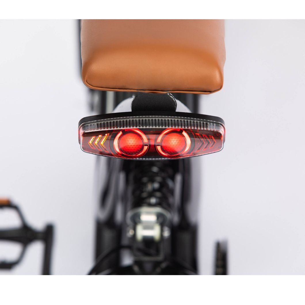 High Power 350/500/750W Super Dual Suspension 20 Inch Long Range Electric Bike for Adults Wholesaler
