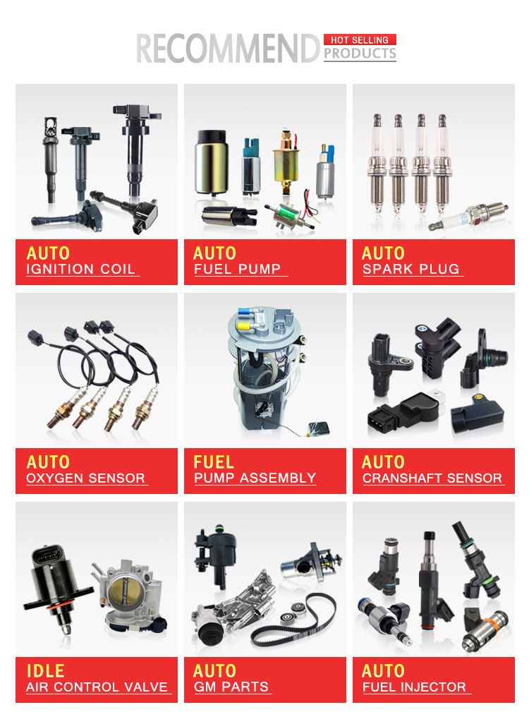 Auto Part Car Part Fuel Pump Assembly for Toyota Land Cruiser 2007 77020-60390 7702060390