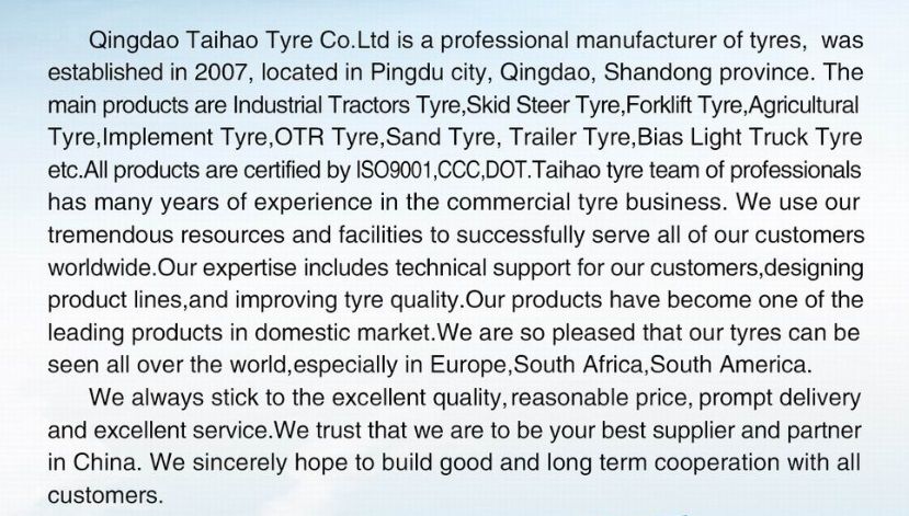Industrial Tire R-1 M 405/70-20 (16/70-20) 405/70-24 (16/70-24)